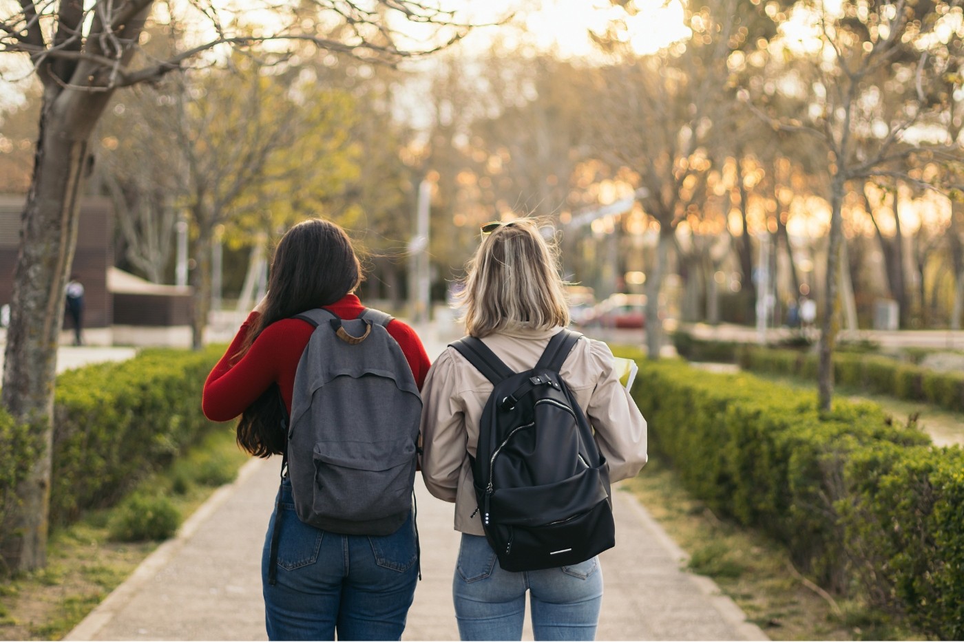 NEDD school data destruction